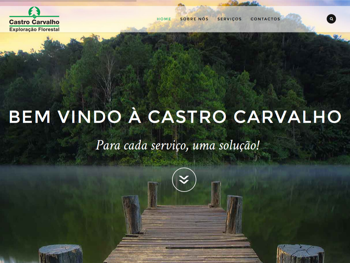 Castro Carvalho